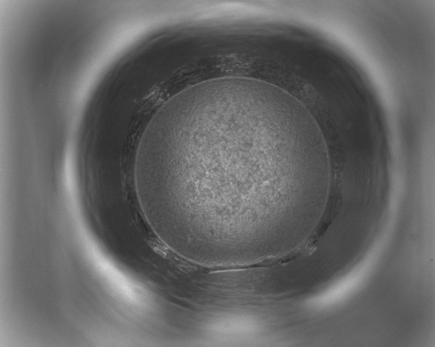 X0000067530765200604150225