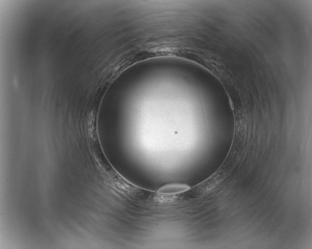 X0000067530767200604150225