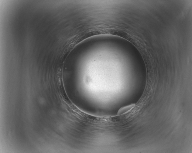 X0000067530768200604150225