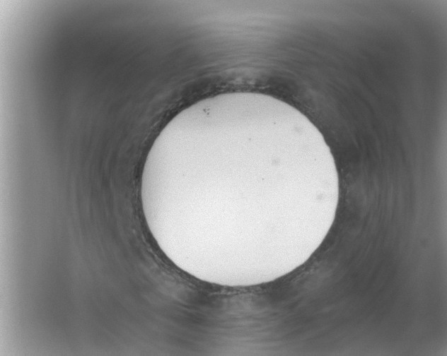 X0000067530769200604150225