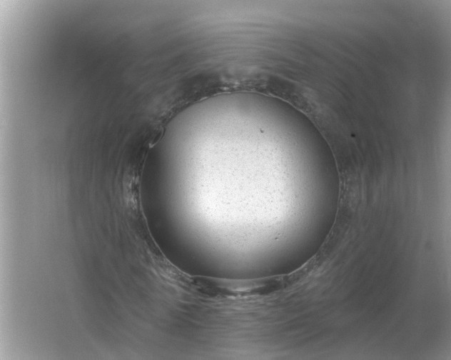 X0000067530770200604150225