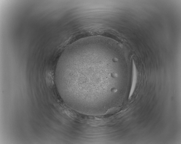 X0000067530772200604150224