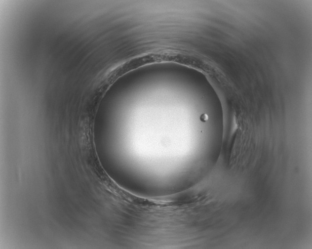 X0000067530773200604150224