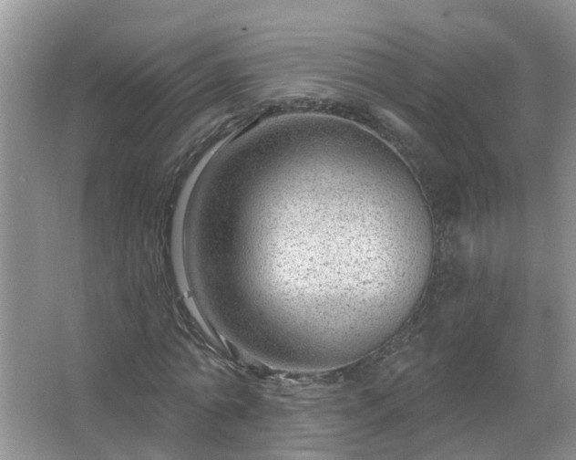 X0000067530774200604150224