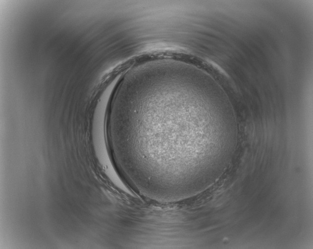 X0000067530775200604150224