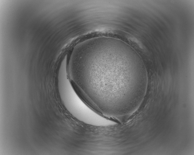 X0000067530776200604150224