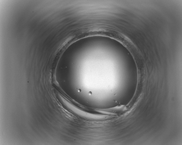 X0000067530777200604150224