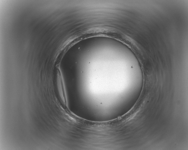 X0000067530778200604150224