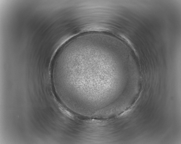 X0000067530779200604150224