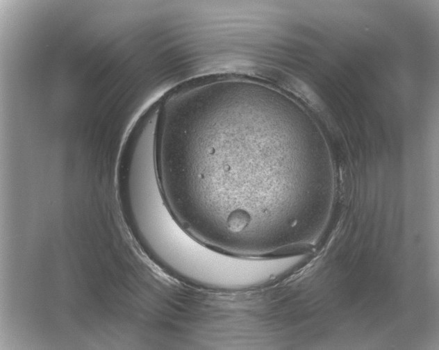 X0000067530780200604150224