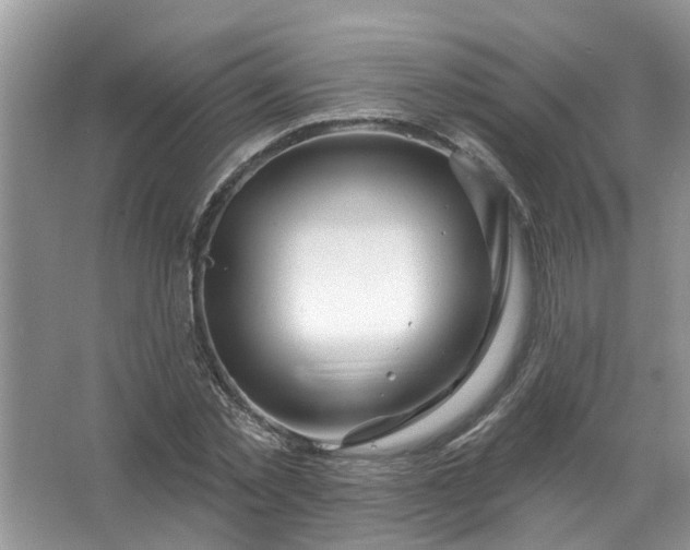 X0000067530781200604150224