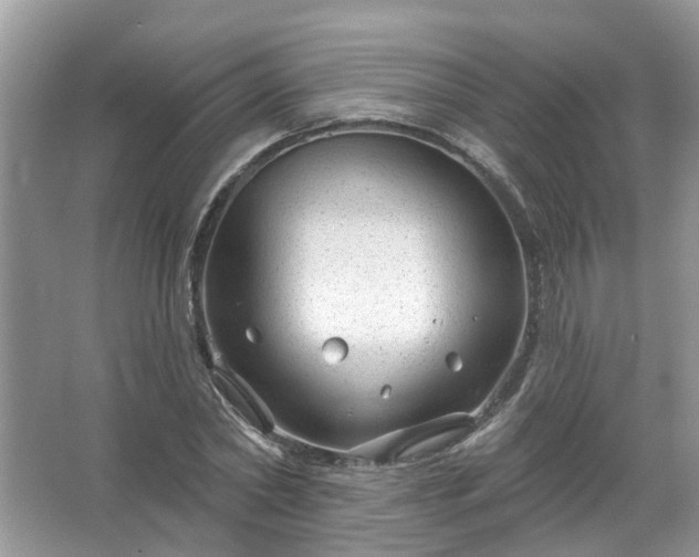 X0000067530782200604150224