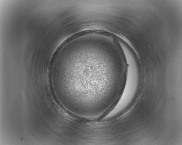 X0000067530783200604150224