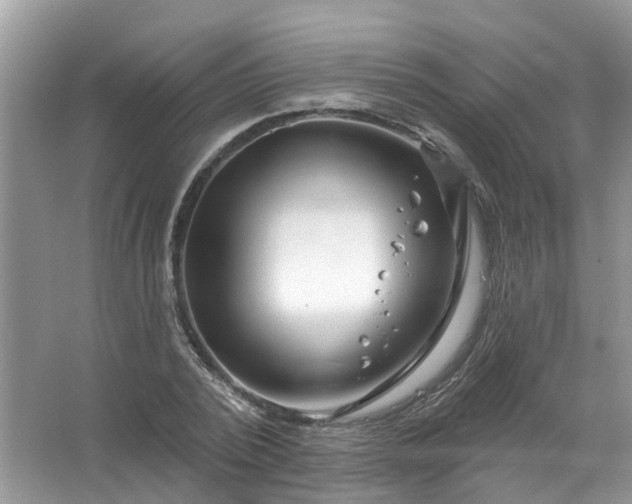 X0000067530784200604150224