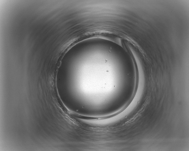 X0000067530785200604150224