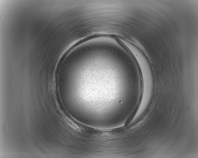 X0000067530787200604150224