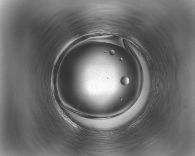 X0000067530788200604150224