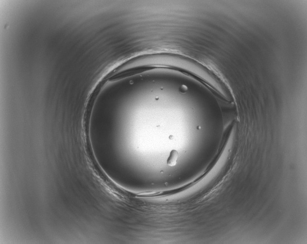 X0000067530789200604150224