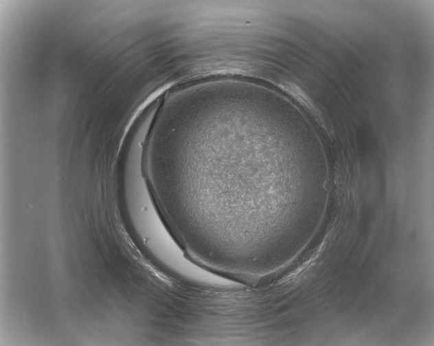 X0000067530790200604150224