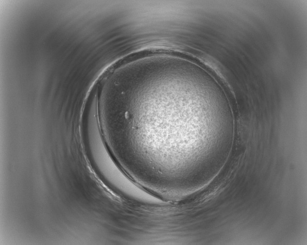 X0000067530791200604150224