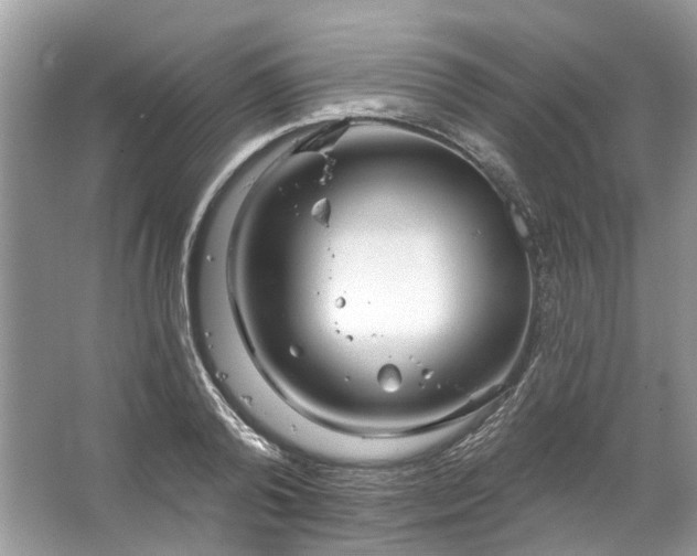 X0000067530792200604150224