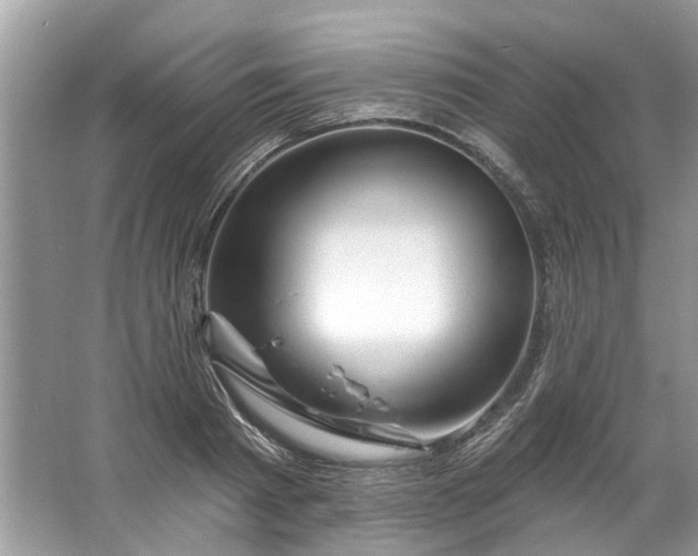 X0000067530793200604150224