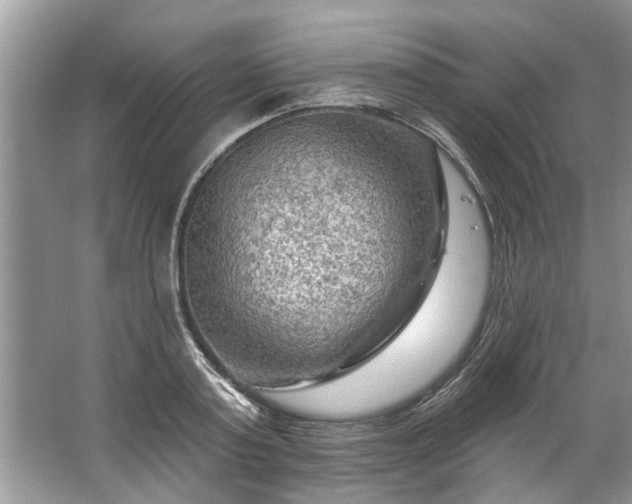 X0000067530795200604150224