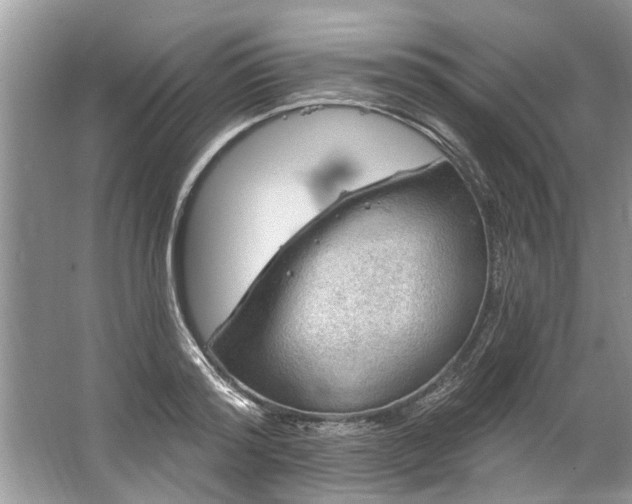 X0000067530796200604150224