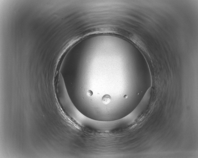 X0000067530797200604150224