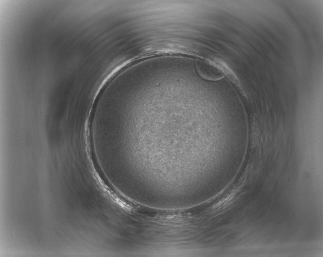 X0000067530798200604150224