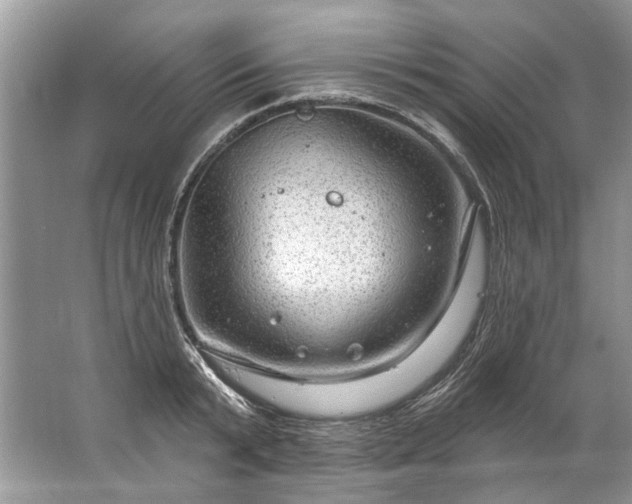 X0000067530799200604150224