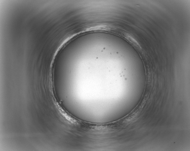 X0000067530800200604150224