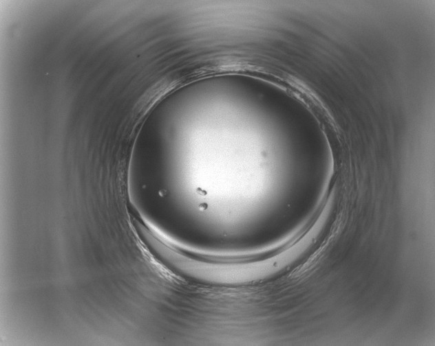 X0000067530801200604150224