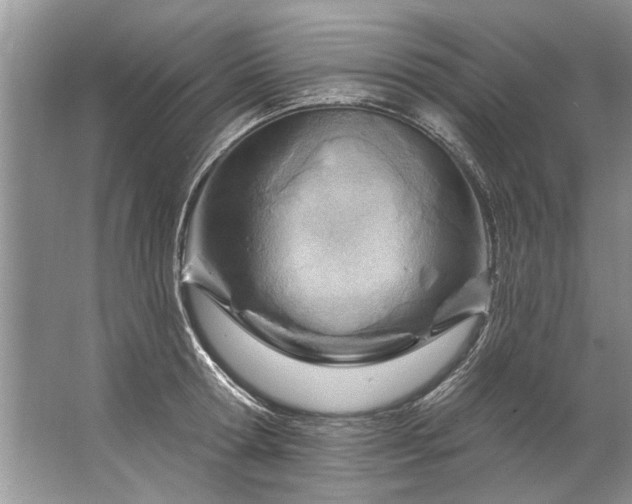 X0000067530802200604150224