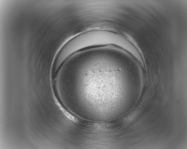 X0000067530803200604150224