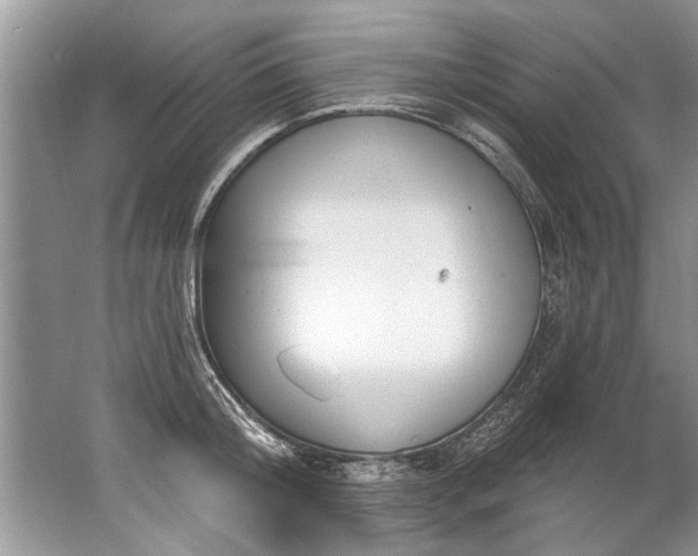 X0000067530804200604150224