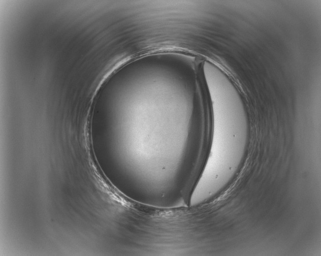 X0000067530806200604150224