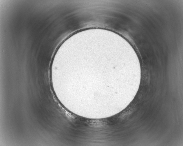 X0000067530807200604150224