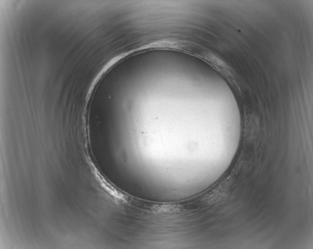 X0000067530808200604150224