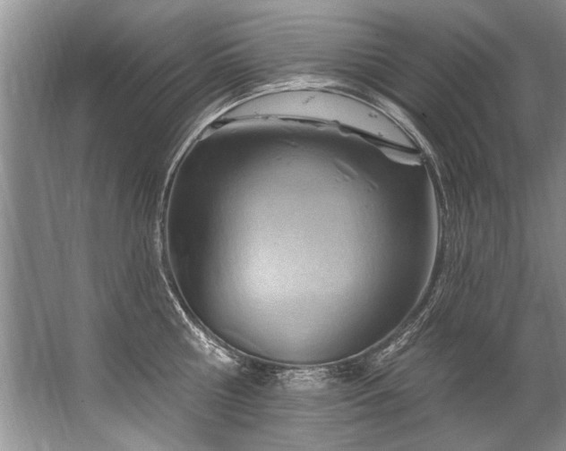 X0000067530810200604150224