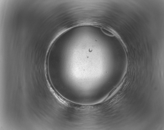 X0000067530811200604150224