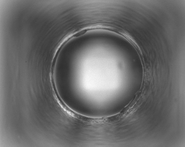 X0000067530813200604150224