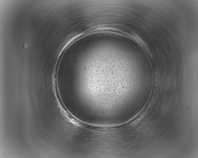 X0000067530814200604150224