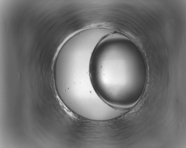 X0000067530816200604150224