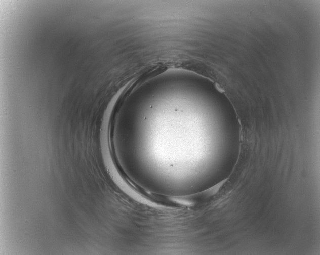 X0000067530818200604150223