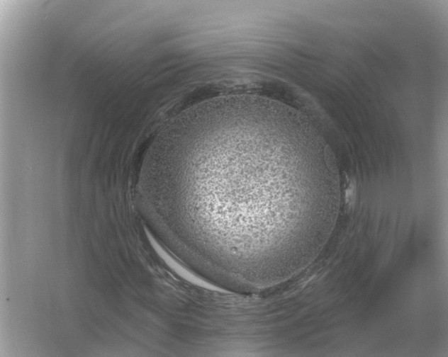 X0000067530819200604150223