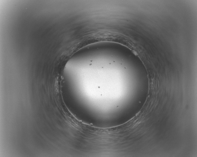 X0000067530820200604150223