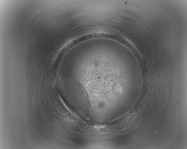 X0000067530823200604150223