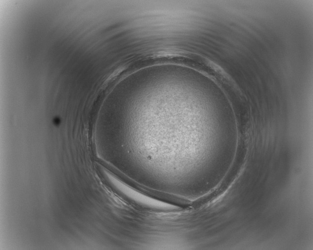 X0000067530825200604150223