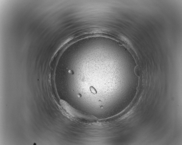 X0000067530827200604150223